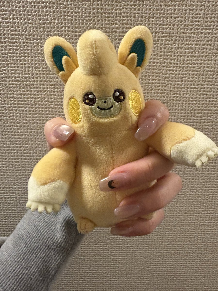 チュモッパ tweet media