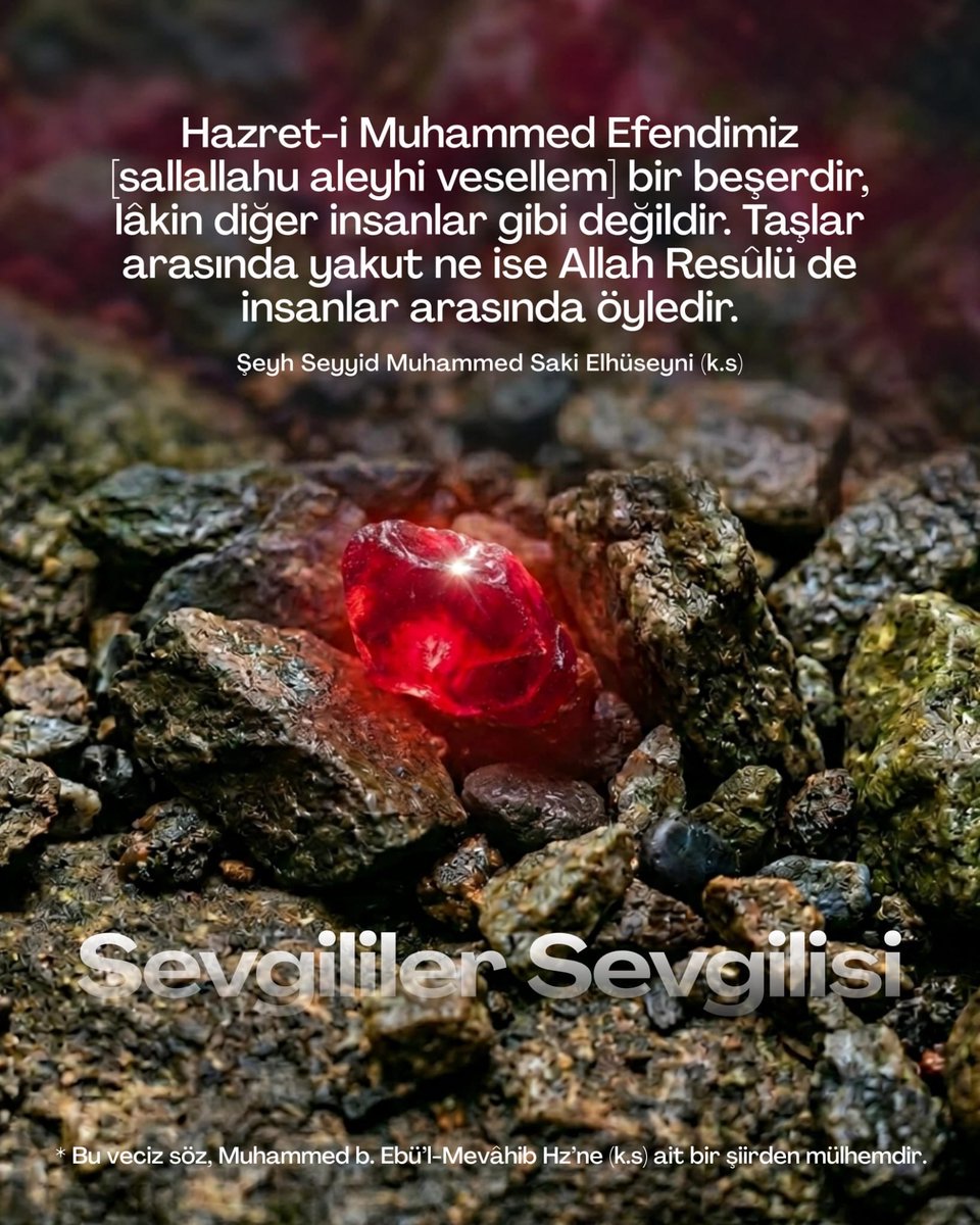 Sultana Vurgun tweet media
