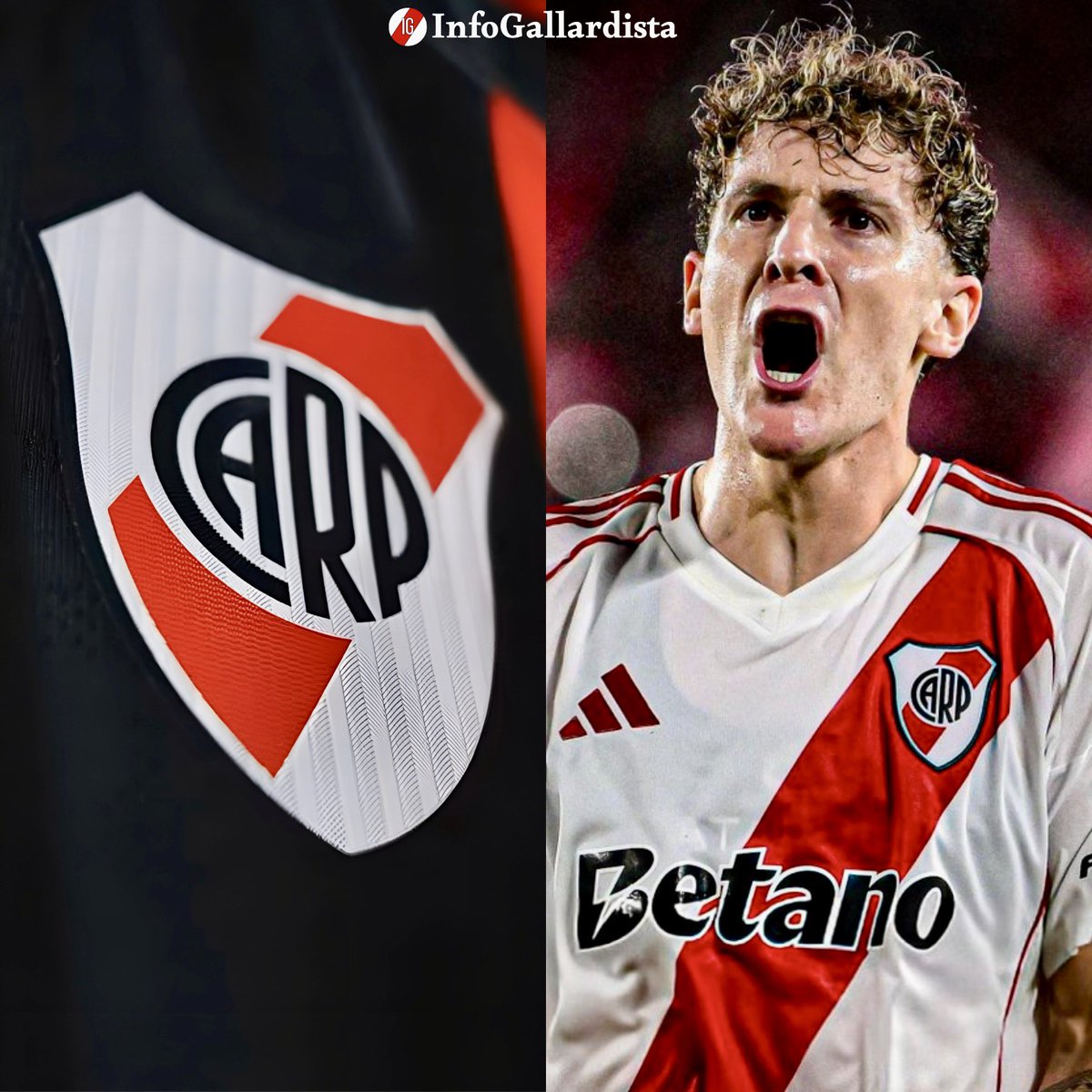 Info Gallardista tweet media