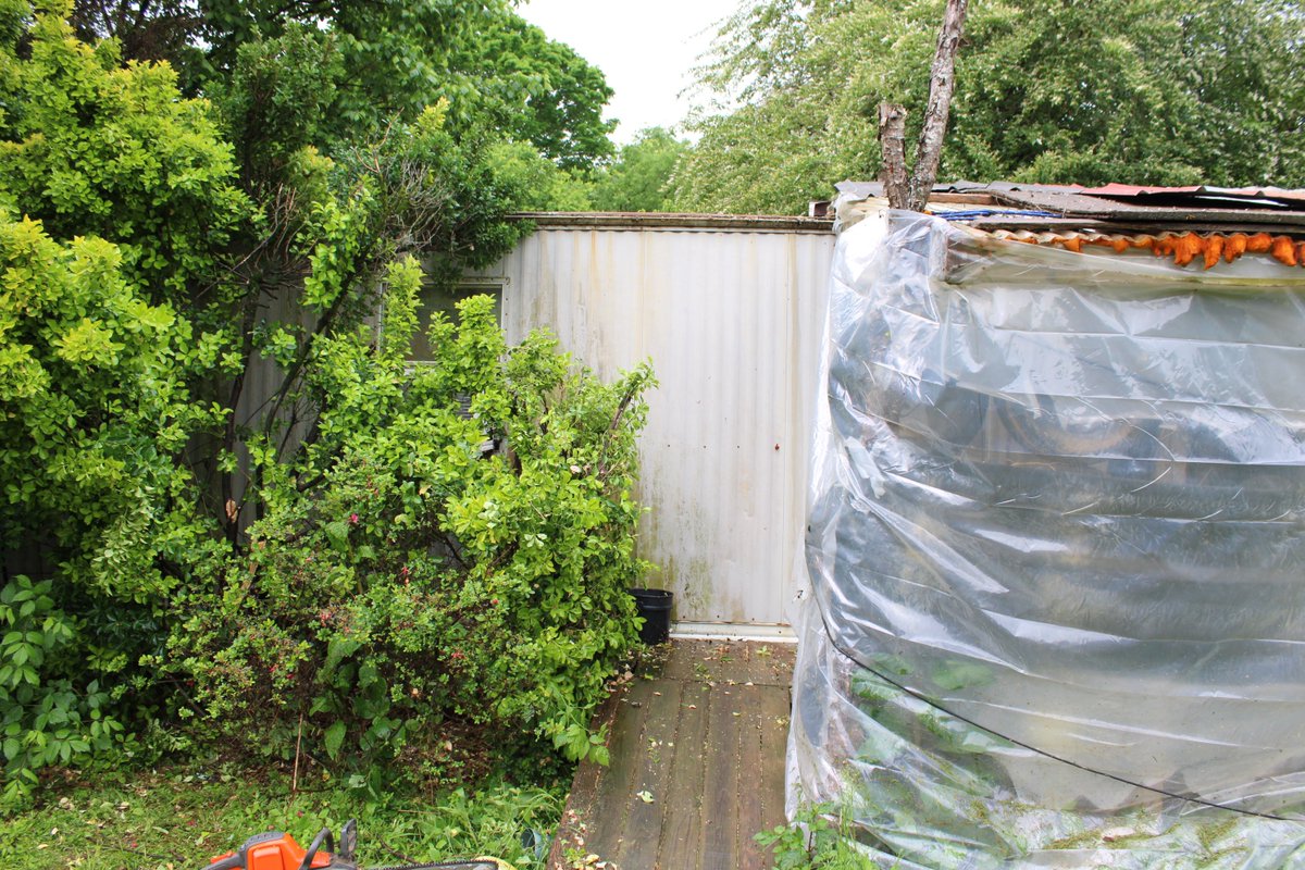 docsanderson's tweet image. #Scientists #Carpenter #RestorationProject #Wolves #Mates @NatGeo @danpeckwx @HeartsofHeroes_
@Nature Mags Lizzie G i spent my morning working on #Safety of the Box itself. this last storm showed me that the door &amp;amp; wheel chair ramp were at risk.i Trimmed the shrubs Mwah WET Lelon