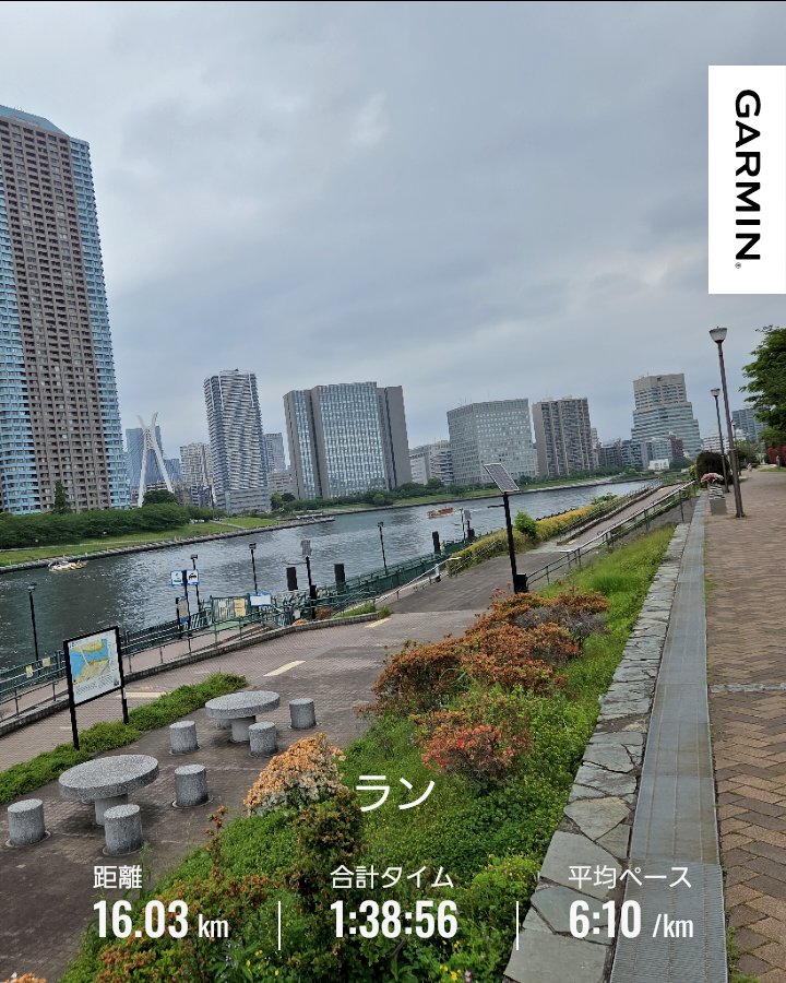 runner_solami's tweet photo. ゴールデンウィーク1日目。曇り空の隅田川🏃‍♀️
かすみがうらマラソンのお土産に買った干しいもパイ✨
他にも買いたいのがあったけど
荷物が限界で諦めました😖レンコンサブレとか…色々 https://t.co/eaUwc53Zcn