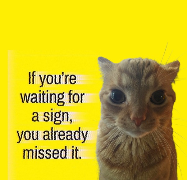 LPN_KG's tweet image. #ALTCOINS UPDATE