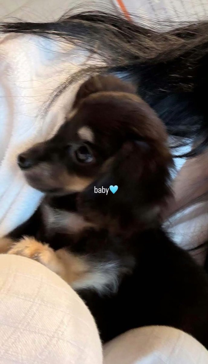 aespa pics tweet media