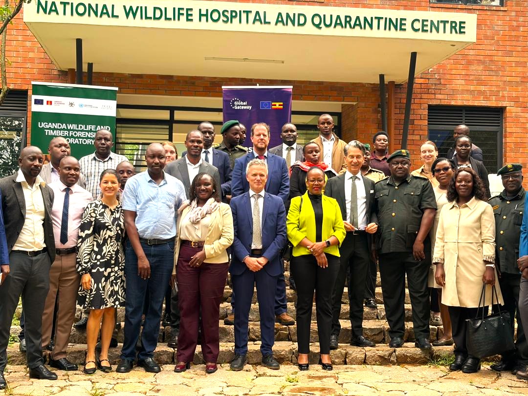 EU in Uganda tweet media
