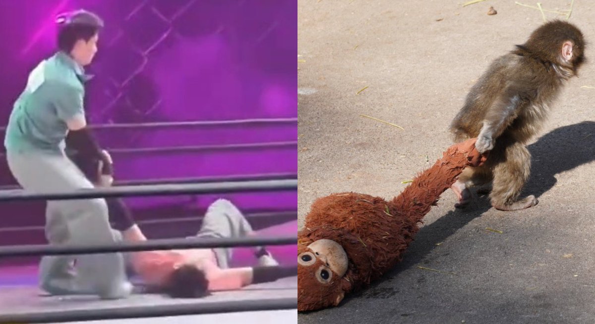 ⋆. 𐙚˚࿔ ลิตเติ้ลอาม่าบูว ૮₍˶ •. • ⑅₎э ♡ tweet media