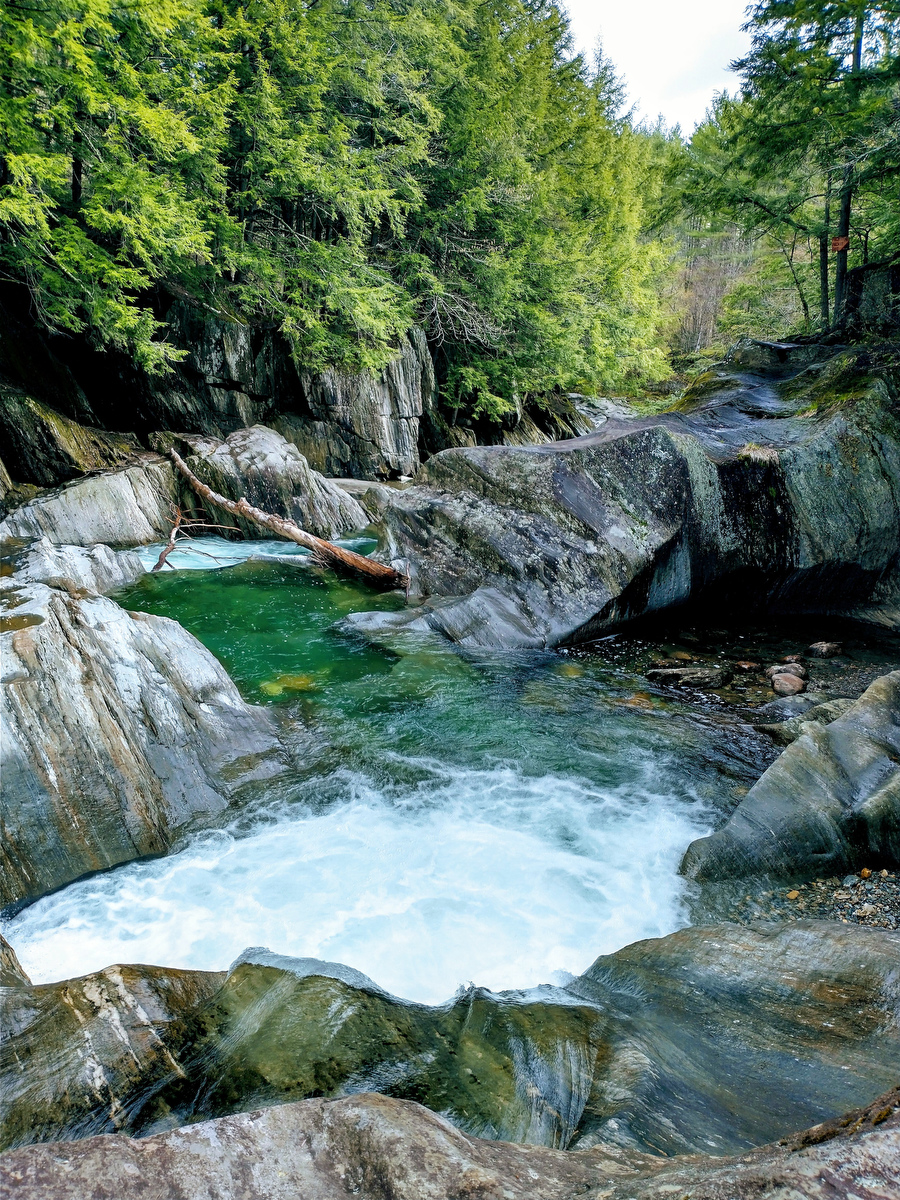 USDA Forest Service tweet media