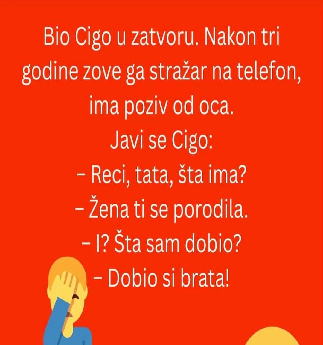 Marjan (@marjan34579144) on Twitter photo 