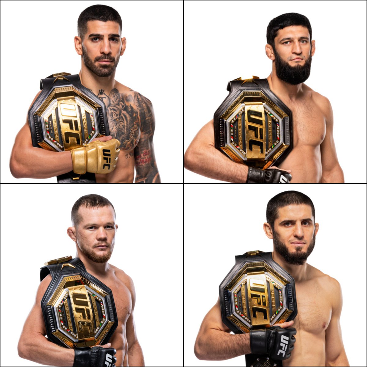 The Polls Guy 🎩 tweet media