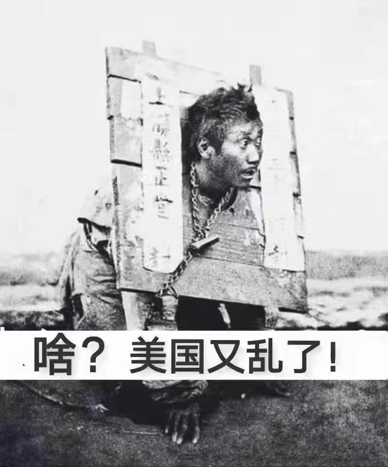 LA牙賢者 tweet media