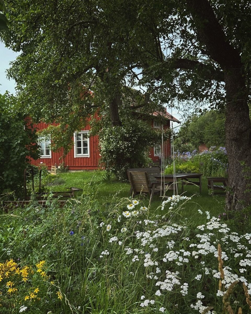 vistaaura222's tweet image. Swedish Countryside