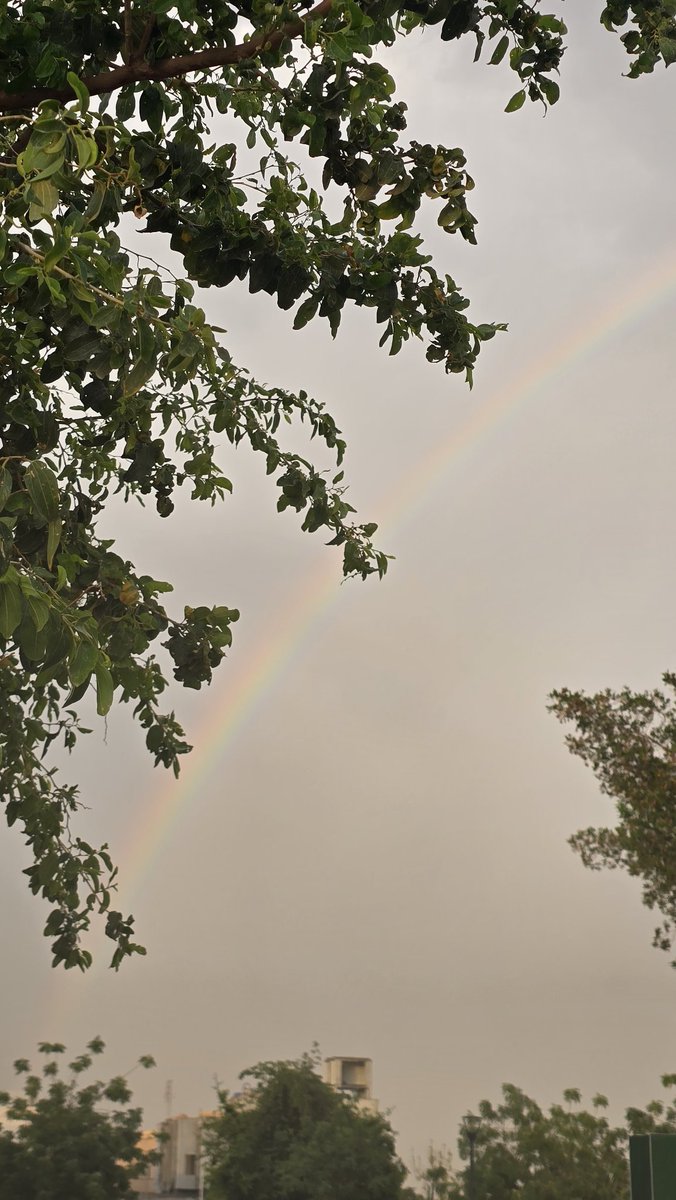 سامي الأنصاري | Sami ALansari tweet media