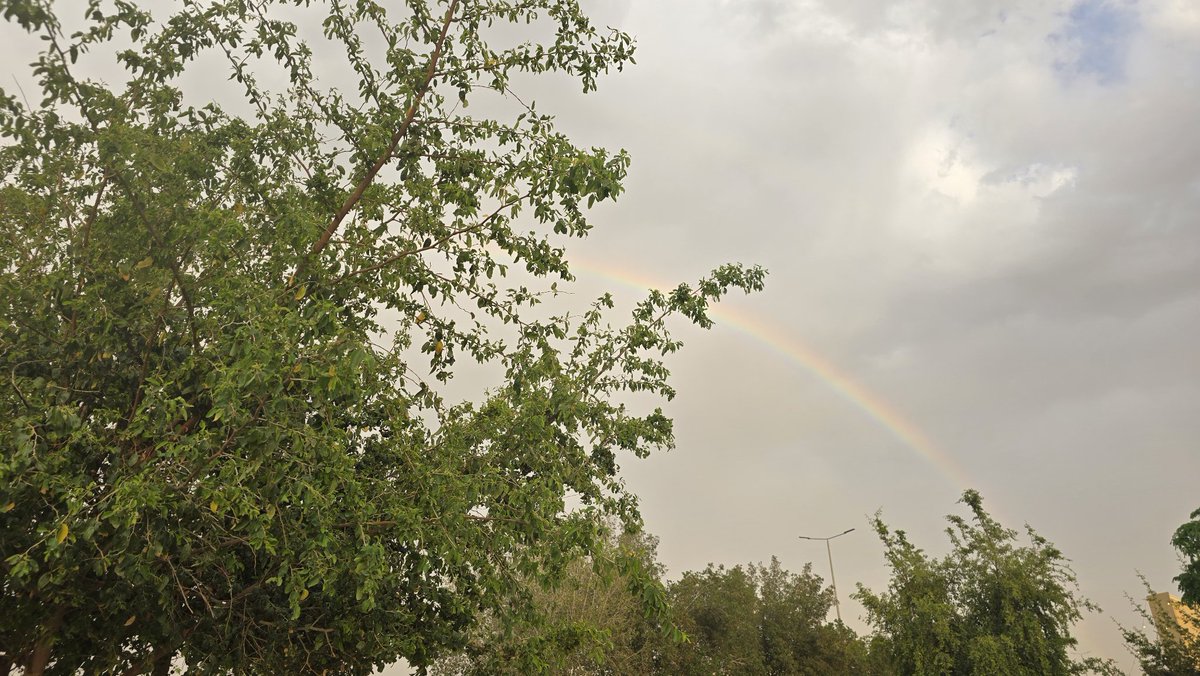 سامي الأنصاري | Sami ALansari tweet media