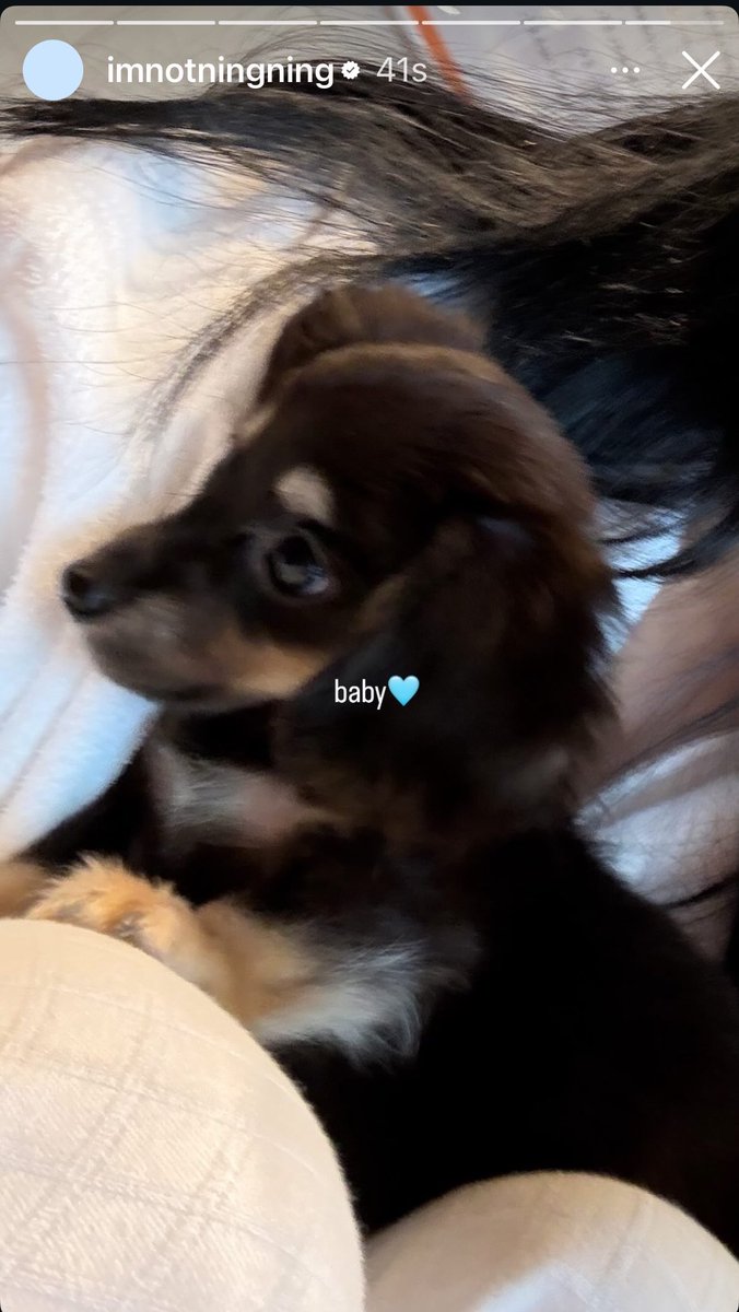 nwray:.🦋 tweet media