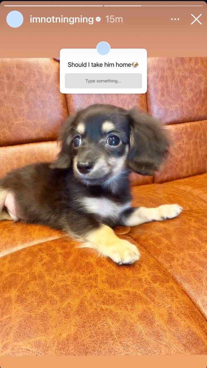 nwray:.🦋 tweet media