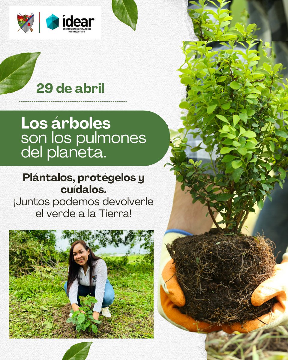 Idear Arauca tweet media
