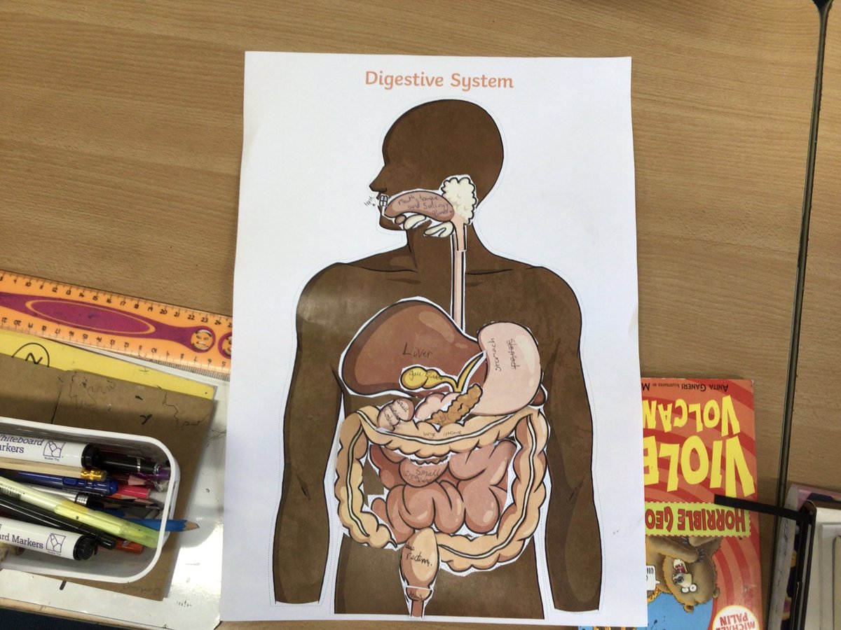 Year6_RCPS tweet media
