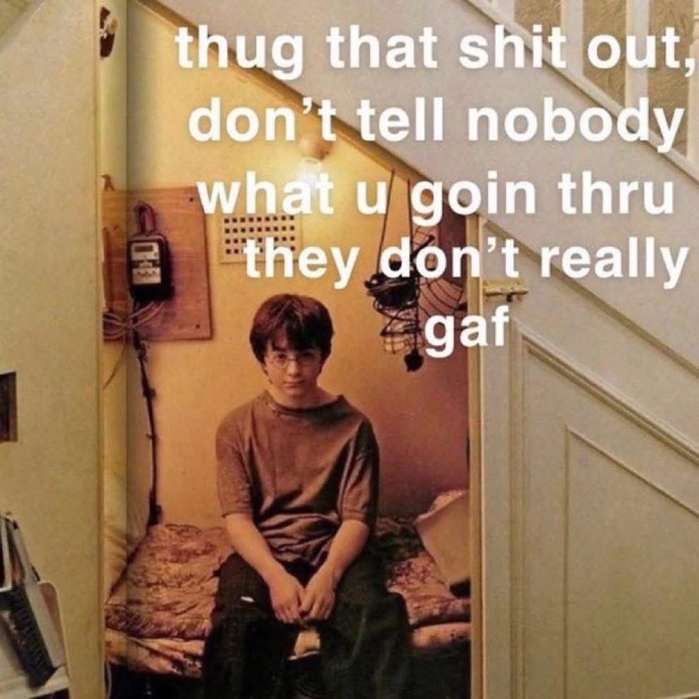 oak-feather tweet media