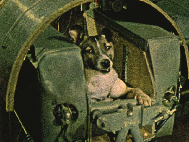 NomadNeph's tweet photo. Do flat earthers/the moon isn’t real folks also not believe in Laika, the dog that was launched into space? https://t.co/VmqZpZhnIL