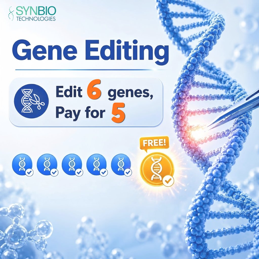 synbio_tech's tweet image. 🧬 Gene editing is reshaping how we design biology.
From research to therapeutic development, precise DNA design enables faster scientific progress.
For multi-gene projects:
✨ Edit 6 genes, pay for 5
hubs.la/Q04dS7pn0
#GeneEditing #Biotech #SyntheticBiology
