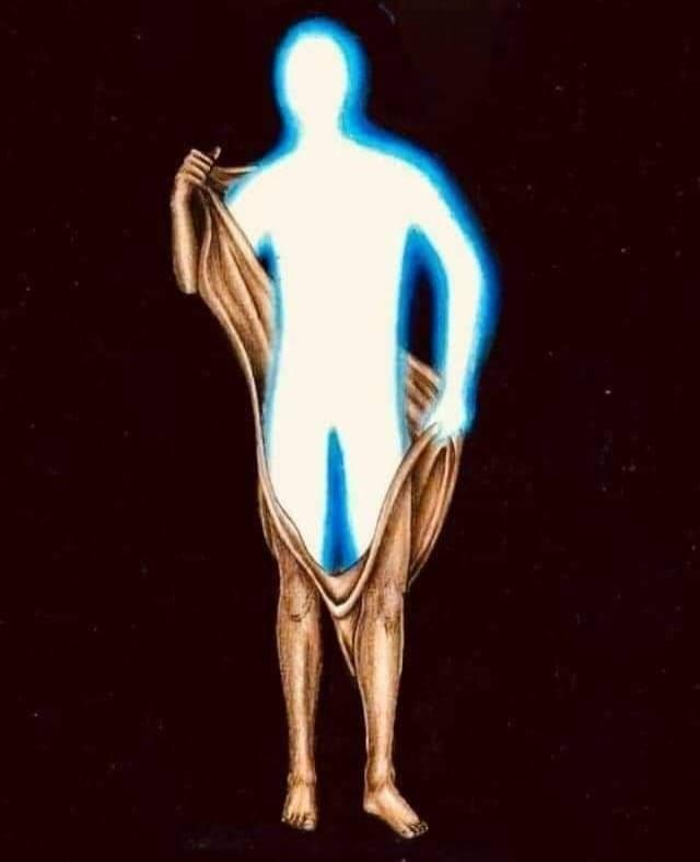 BasedBiohacker tweet media