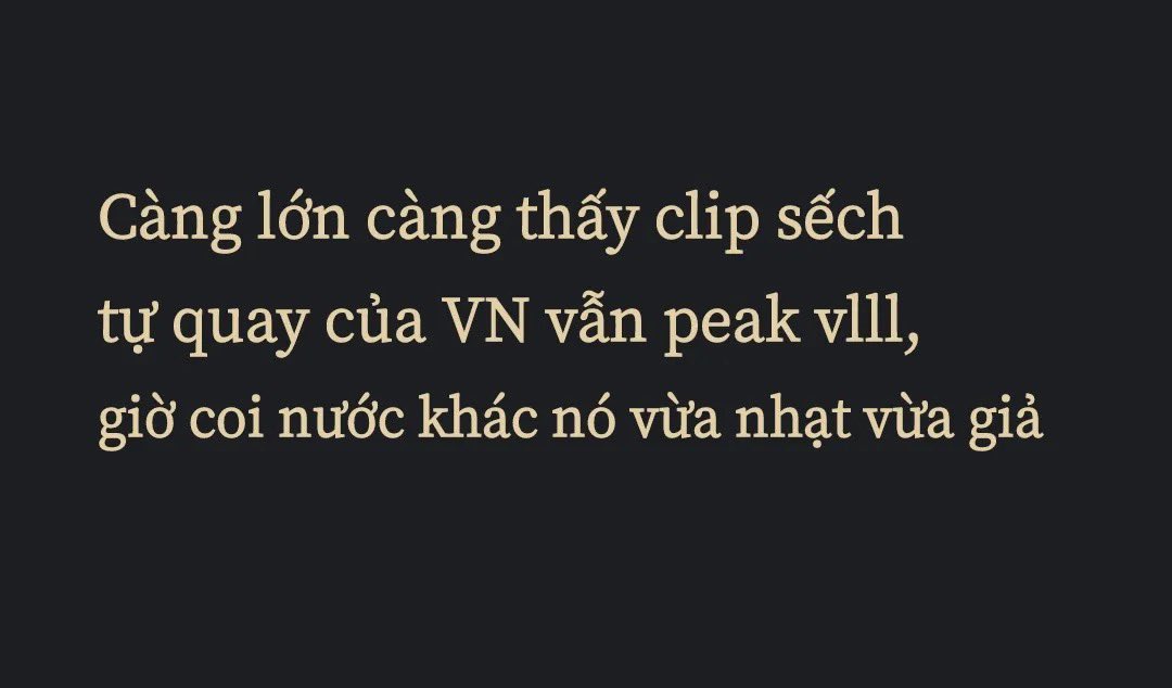 Mai Tuệ Nhi tweet media