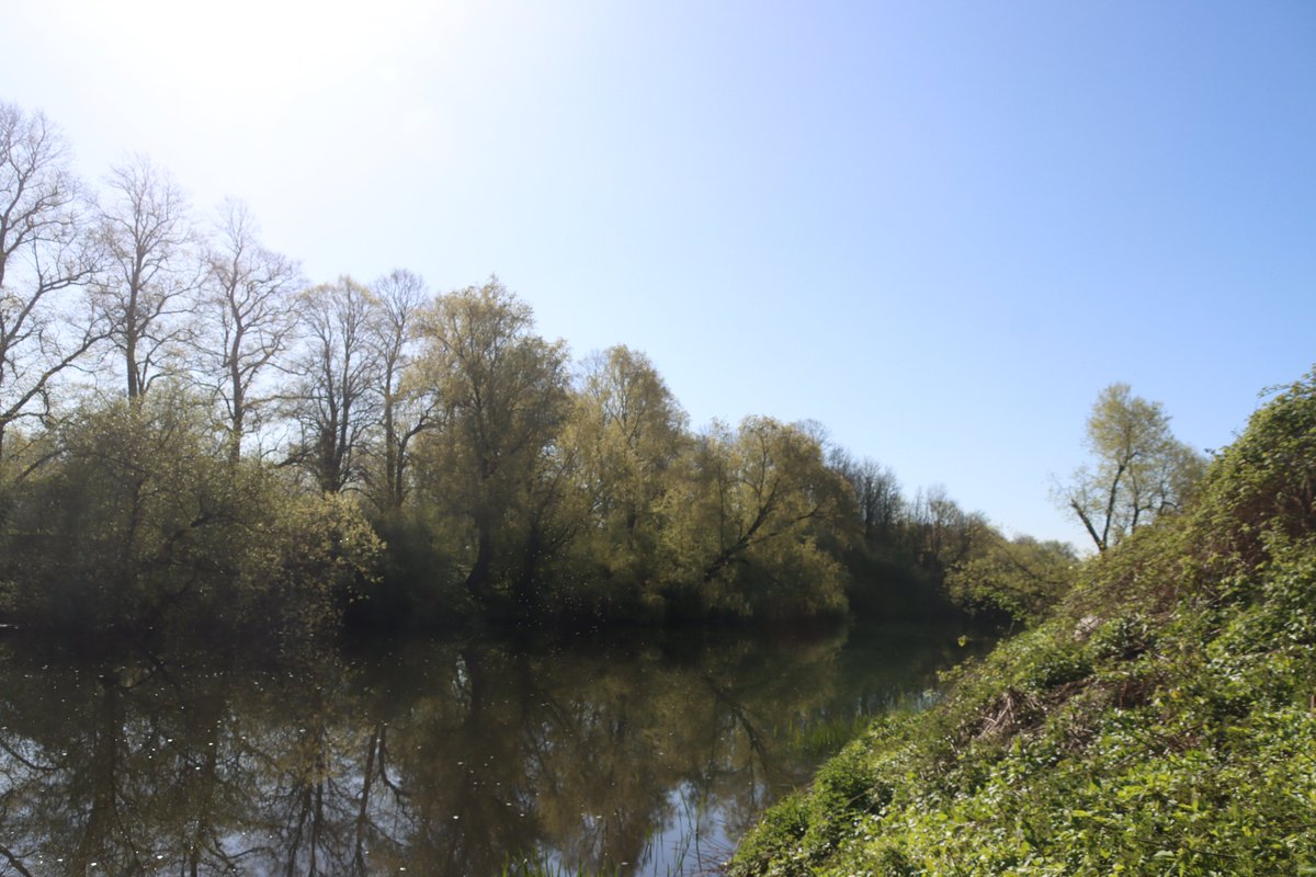 jgphotography10's tweet image. Riverside Park 🏞️📸 (1/2) - 24-04-2026

#RiversidePark #Riverside #ChesterLeStreet #CountyDurham #Photography