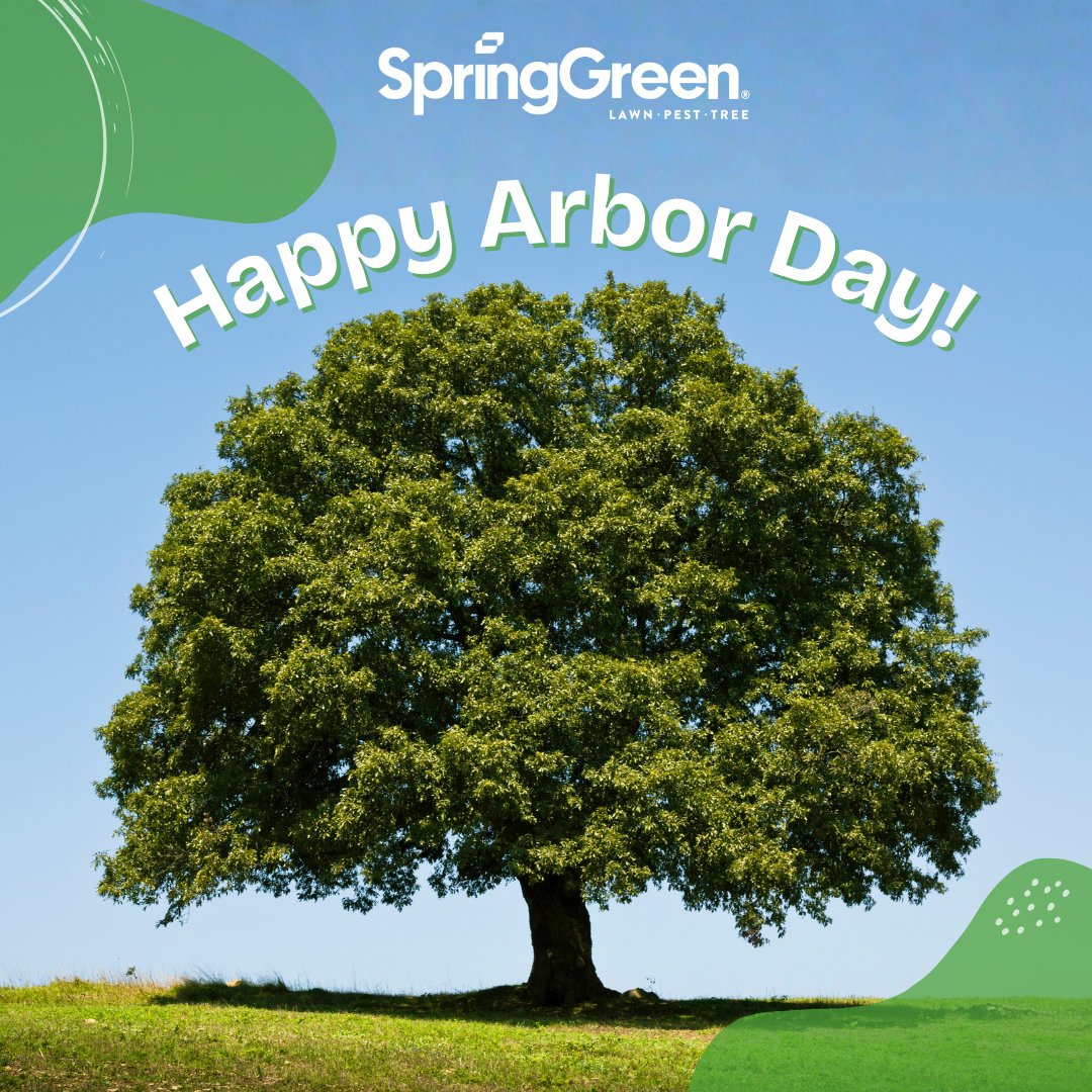 sgfranchise's tweet image. Happy Arbor Day! 🌳 As proud partners of the Arbor Day Foundation, SpringGreen helps plant at least 10,000 trees each year. Learn more ways to celebrate: bit.ly/3v8hmRe
#ArborDay #TreeCare #GreenIndustry