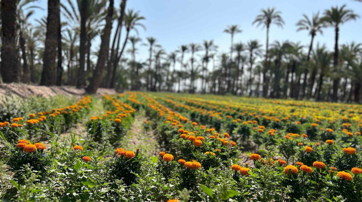 Versión Radio - Antonio Sánchez & Javier Muñoz tweet media