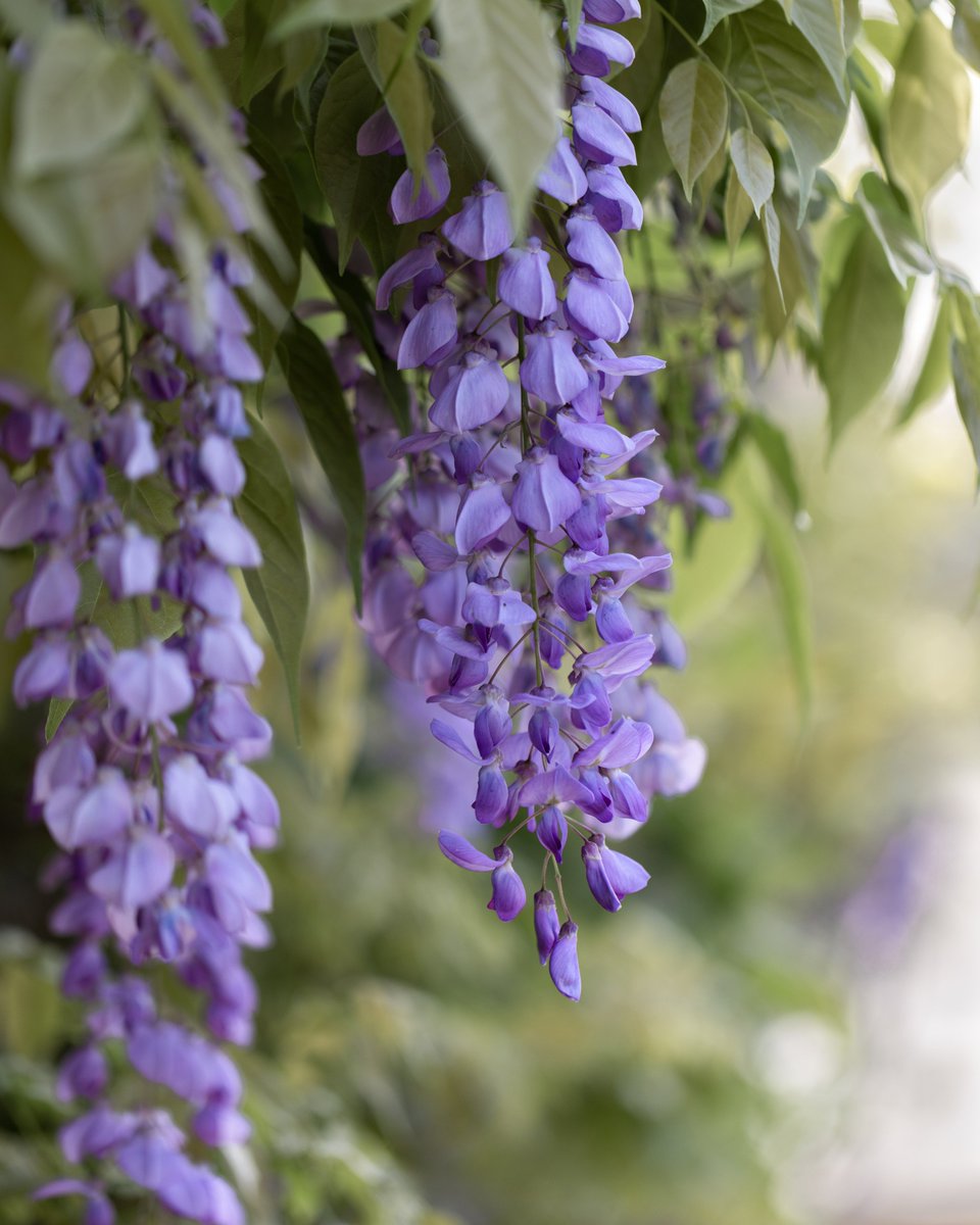 Tina Quillen Photography tweet media