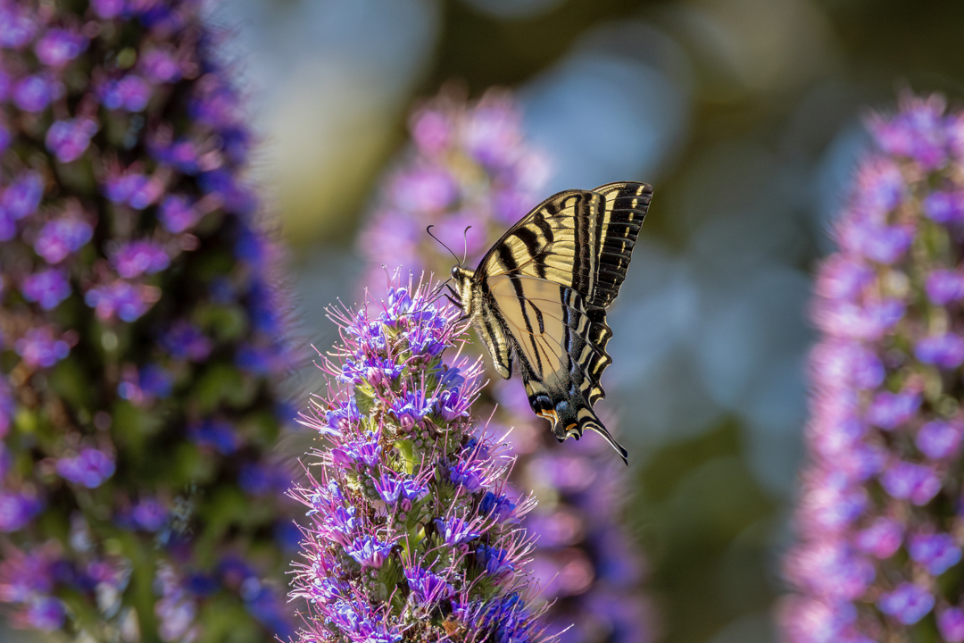 Tina Quillen Photography tweet media