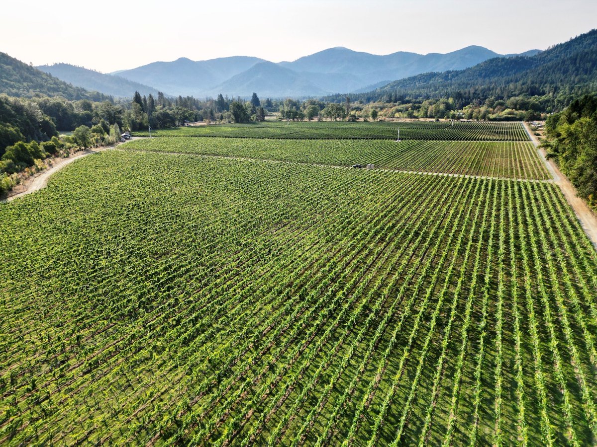 luxurylifestyle's tweet image. FarmTogether Sustainable Farmland Fund Delivers Third Consecutive Year of Benchmark Outperformance luxurylifestyle.com/headlines/farm… #farm #farmland #ranch #luxurycountry
