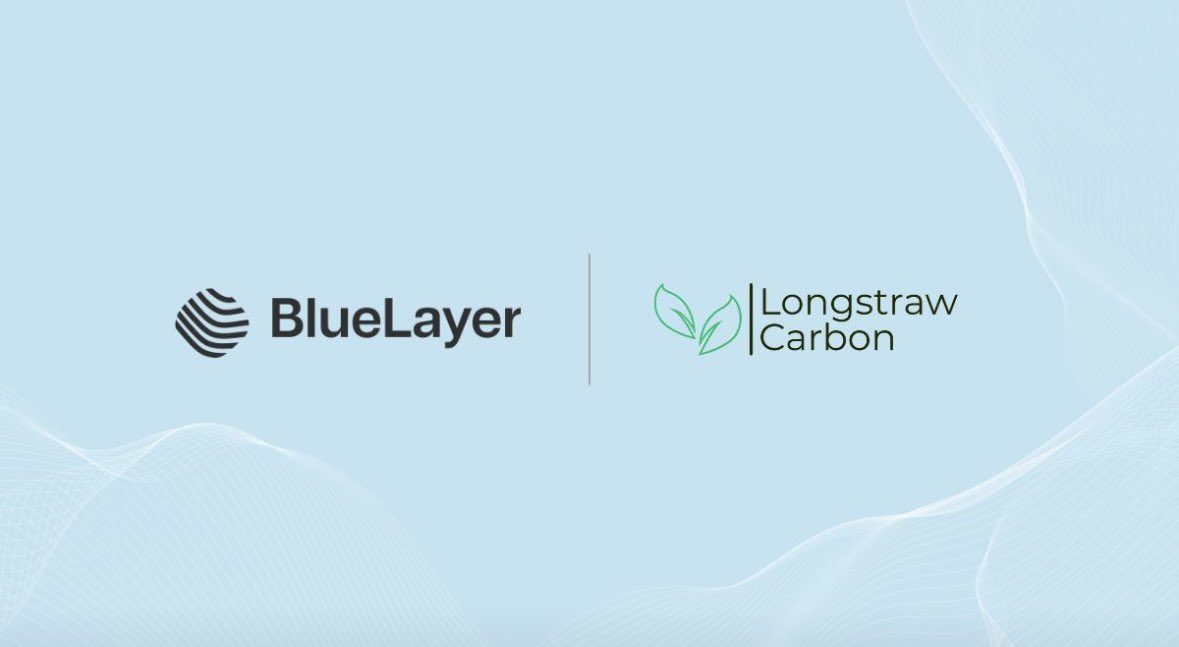 LongStraw Carbon tweet media