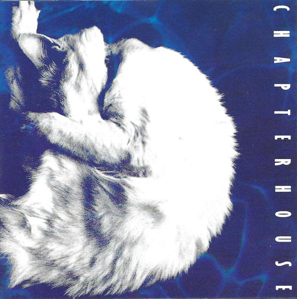 vagonalt's tweet photo. 35 years ago today on April 29 in 1991, Chapterhouse released the album Whirlpool. #elvagonalternativo #chapterhouse #shoegaze #showgazemusic @ChapterhouseUK https://t.co/rewr9MQfXF