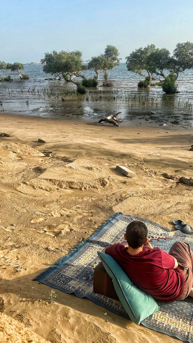 🔸أبو أحمد الحكمي🔸 tweet media