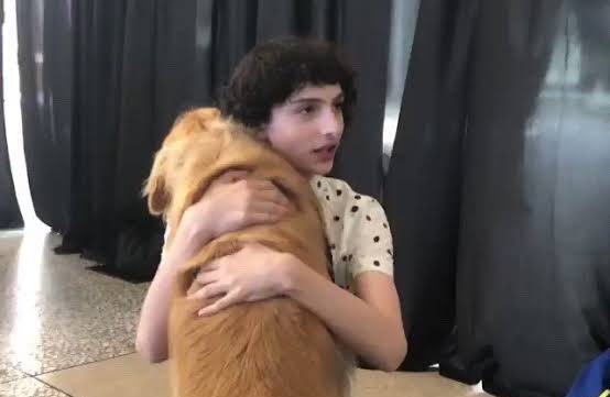 Club Wolfhard tweet media