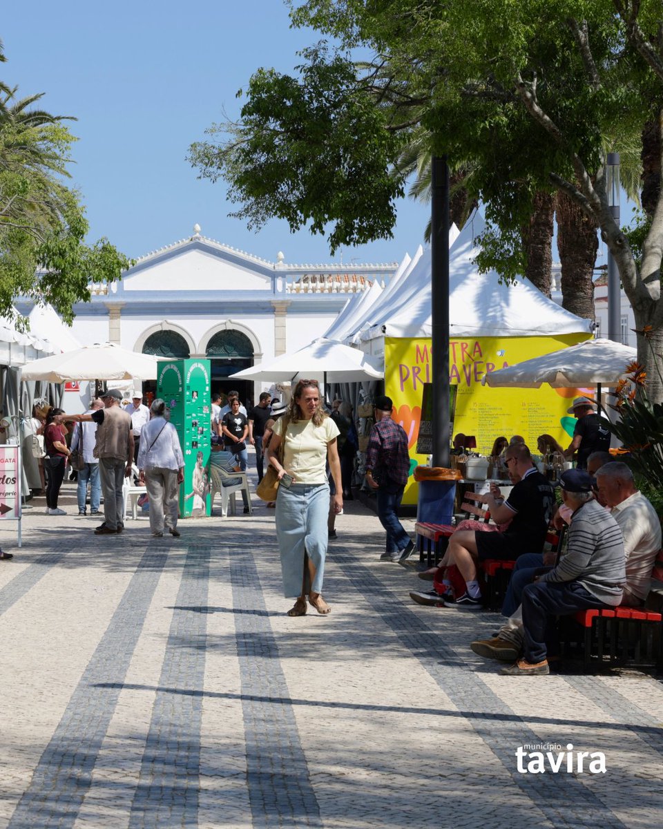 Município de Tavira tweet media