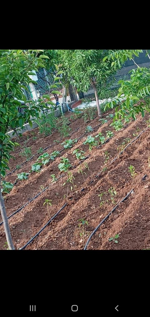 <a href="/Piyasa_Haber/">Piyasa Haber</a> Hayatında   1 tane ağaç  dikmiş  mi acaba ? Buralar vatandaşın  para verip  aldığı  yerler. Hazine yeri değil.  9 milyon  vatandaş 
#YapıKayıtMeclise 
 Hobibahcemedokunma