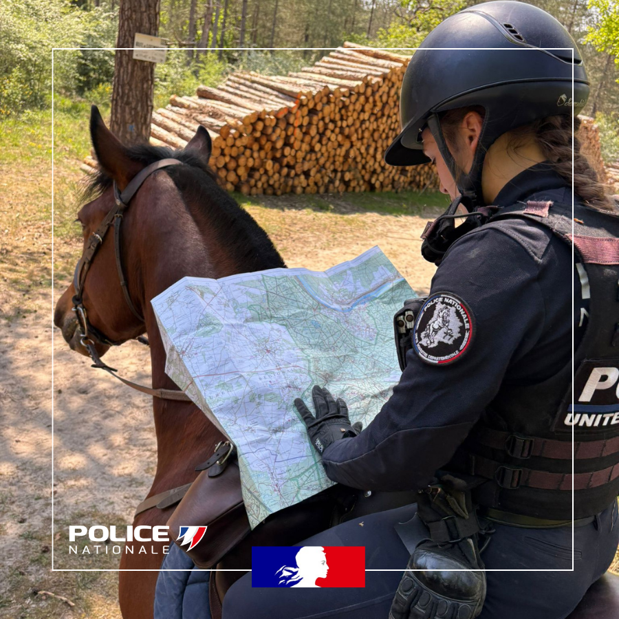 Police nationale 77 tweet media