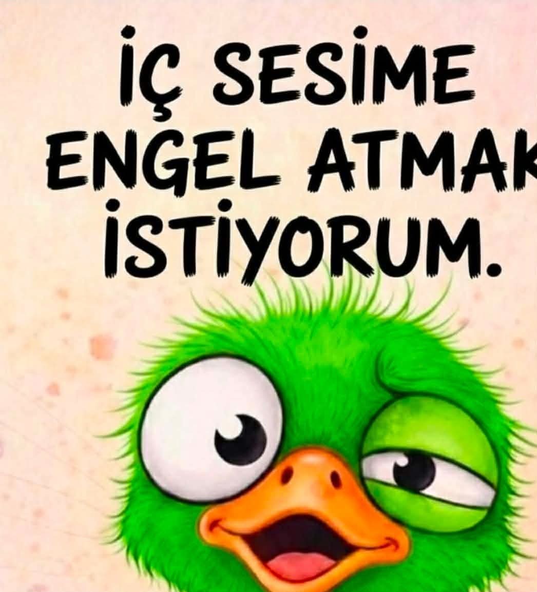 Atatürkçü BirKdn tweet media