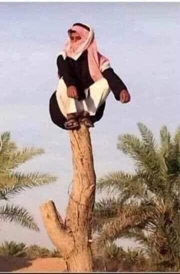 فرحان مكيف متونس tweet media