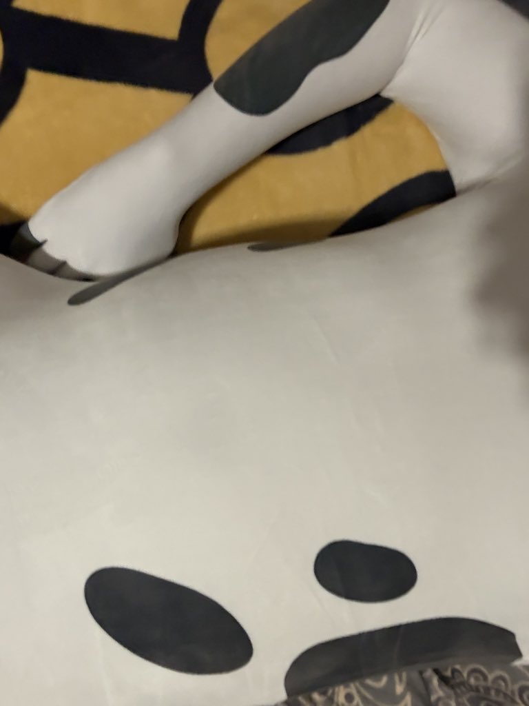那神海盗狗 tweet media