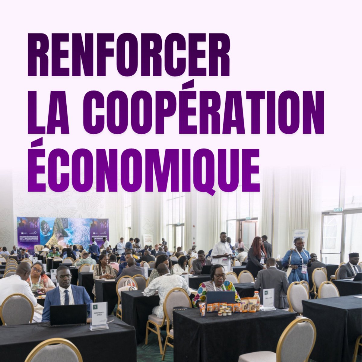 POUR UNE FRANCOPHONIE ÉCONOMIQUE 

Aujourd’hui, la Francophonie ne peut plus être uniquement un espace de diplomatie politique ou de promotion de la langue et de la diversité culturelle ; elle doit devenir un levier de croissance économique concrète.

La promotion de la