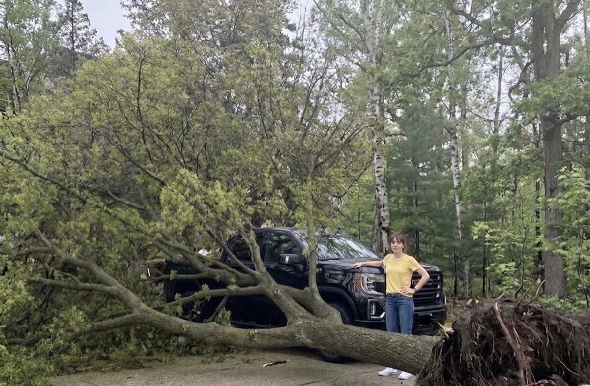 Lisa Weaver ( Advika ) tweet media