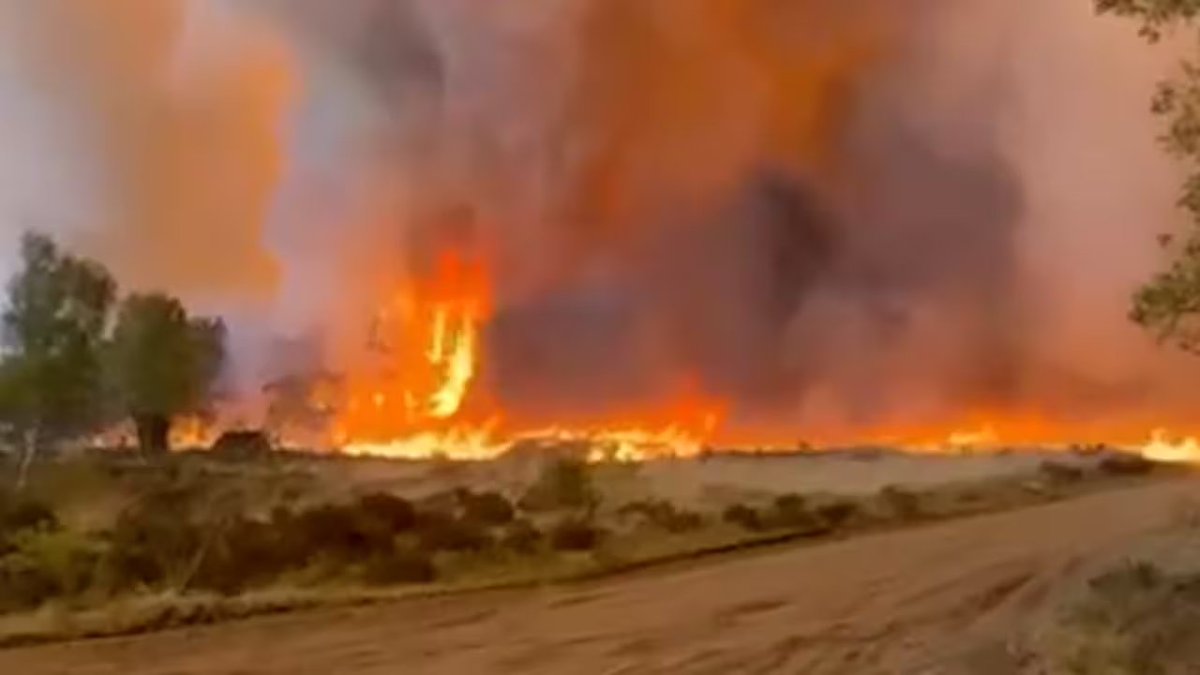 A Child of the Most High tweet media