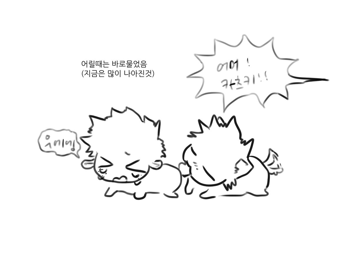 킁킁폭타닝 tweet media