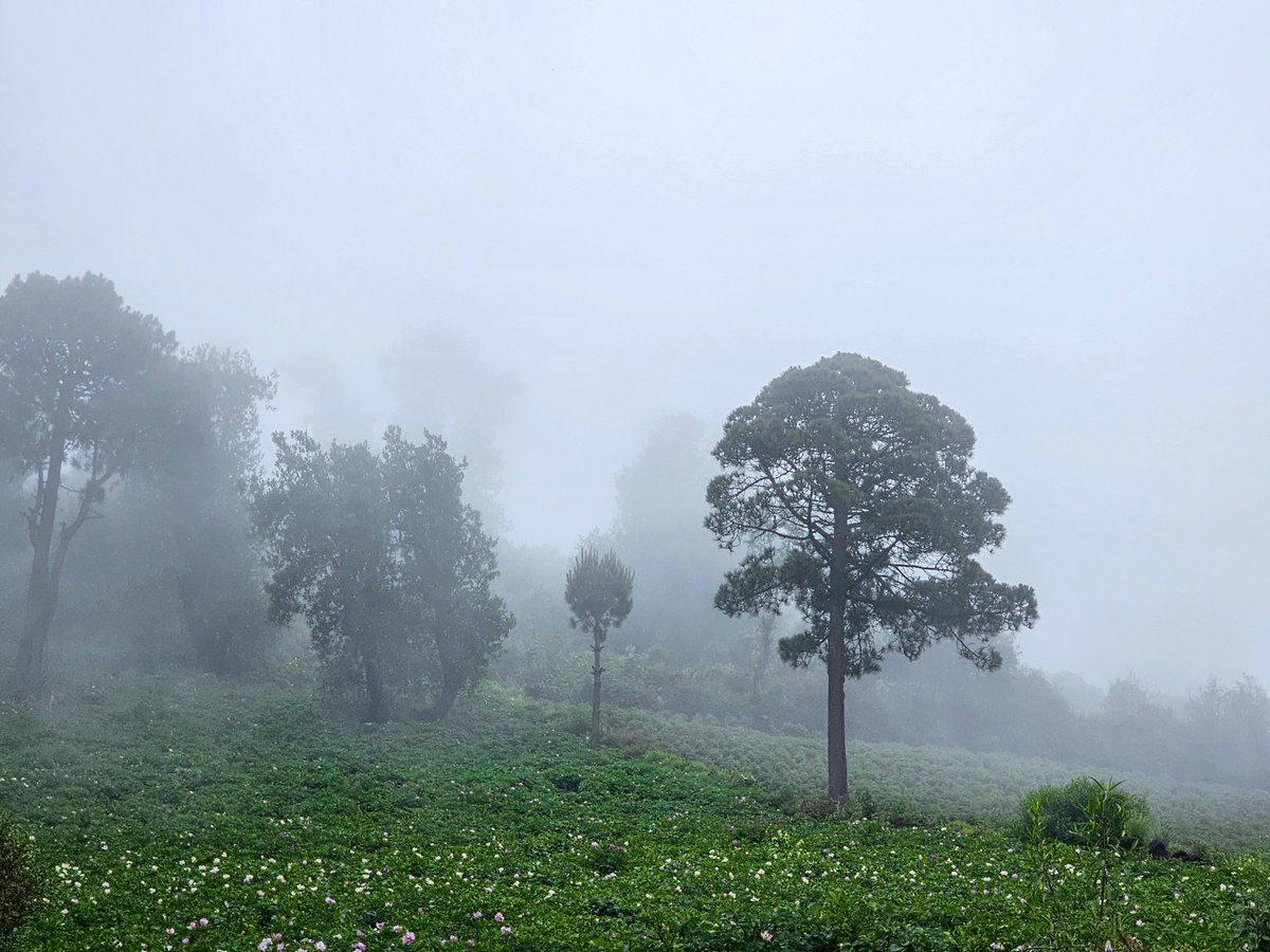 GandalfCrypto tweet media