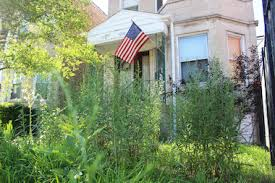 Would all the Landscapers out there please consider taking care of 'blue' yards first. Those of us who didn't vote for this crap would appreciate it.