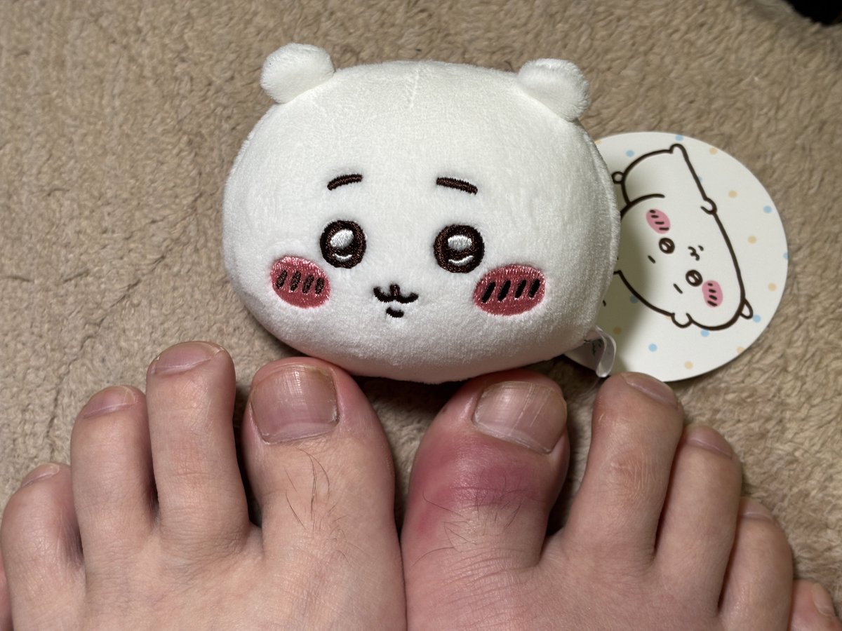 トシ 青木 tweet media