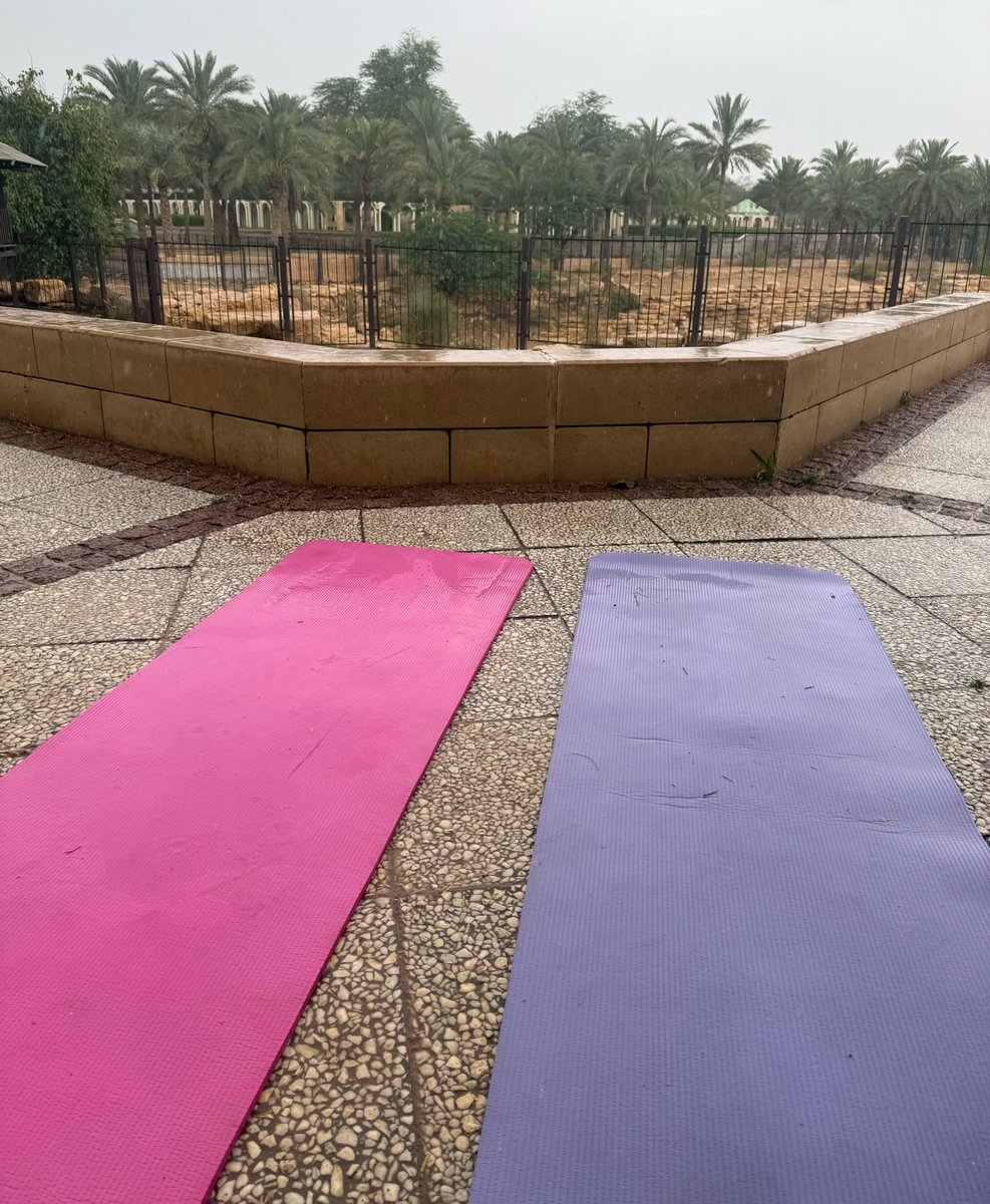 rahxf's tweet photo. Rainy day yoga  🧘🏻‍♀️🌧️ https://t.co/wykz6Grf4Y