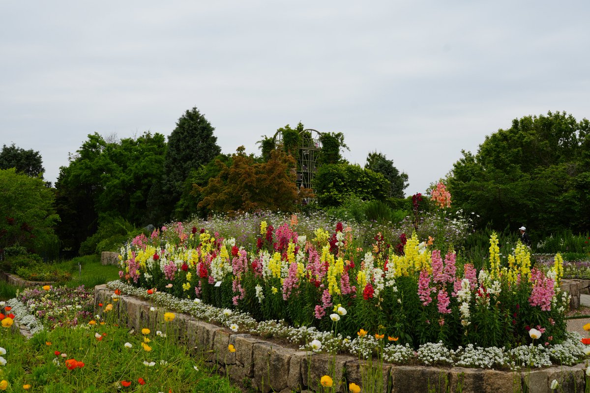 まみもこ tweet media